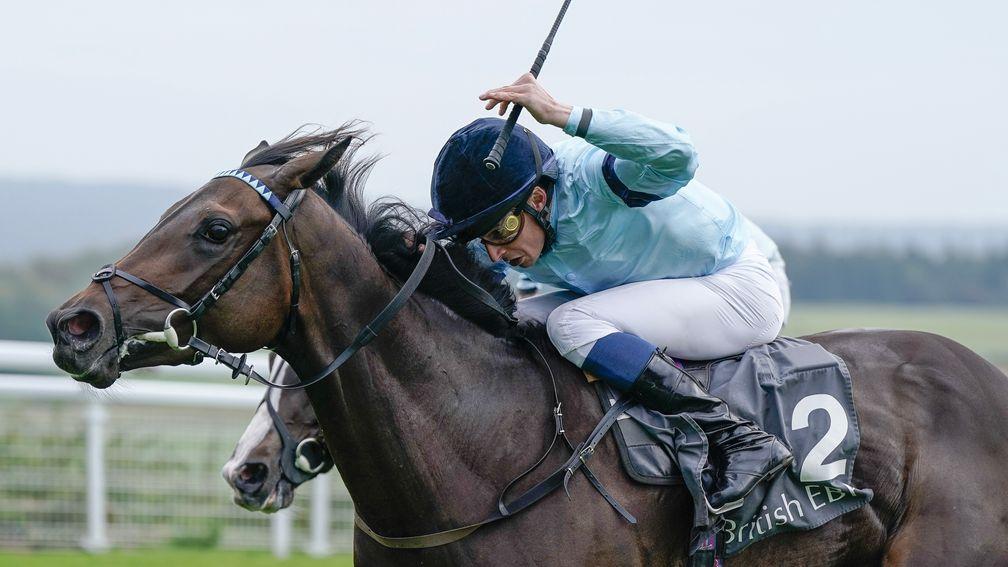 Chic Colombine: successful in £100,000 race at Goodwood