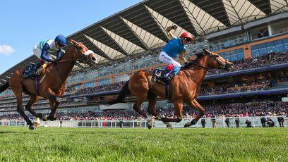 Gold Cup hero Courage Mon Ami suffers training setback with Royal Ascot defence in doubt