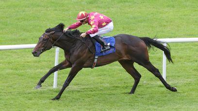 Joseph O'Brien dreaming of Arc tilt with Al Riffa - but first he's targeting the Manhattan Stakes at Saratoga next month