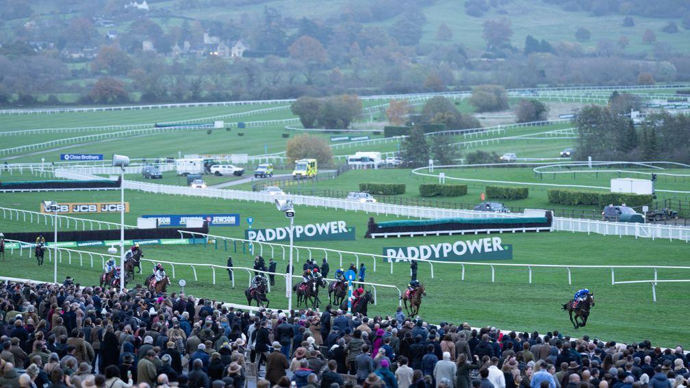 Racegoers at Cheltenham on Saturday were encouraged to sign the sport's petition against the formal implementation of affordability checks