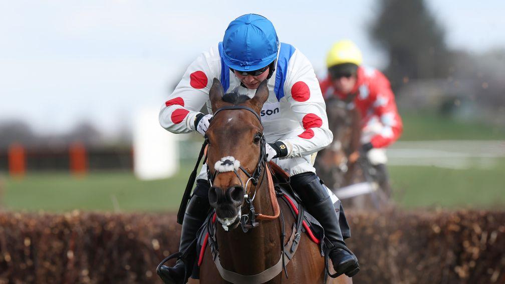 Il Ridoto: has strong course form at Cheltenham