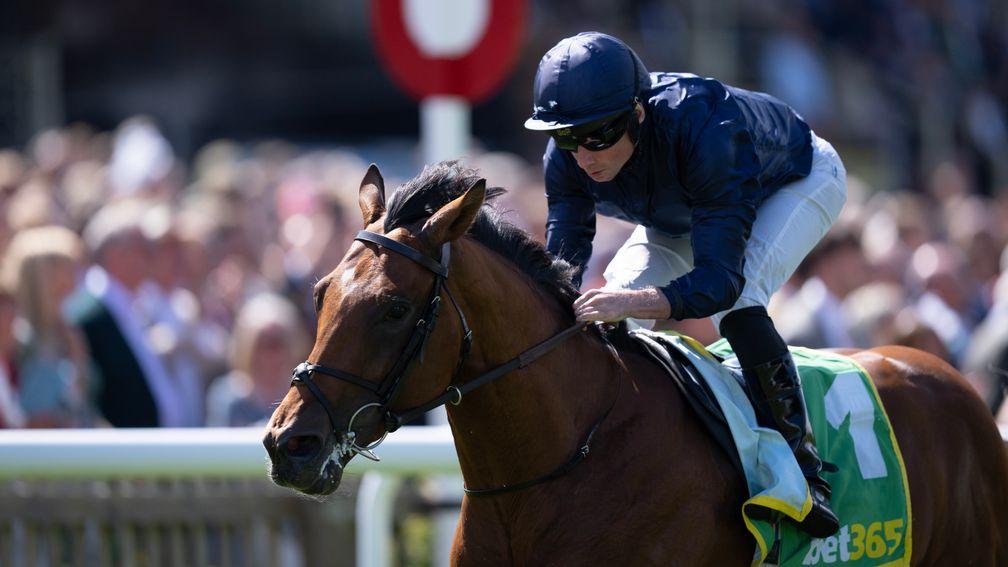 City Of Troy: hot favourite for Saturday's bet365 Dewhurst Stakes at Newmarket