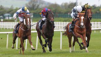 Farcical contradiction in the Gambling Bill will see racing and betting pushed closer together