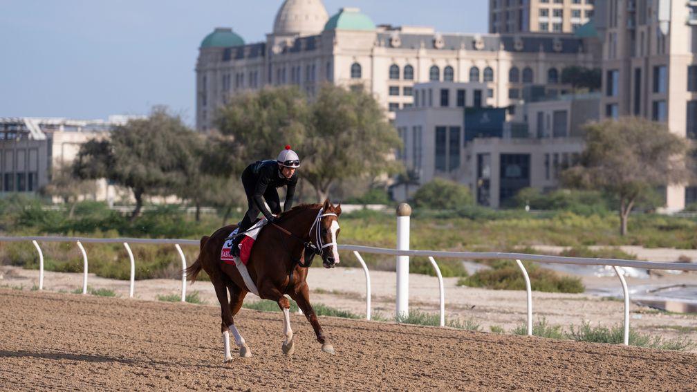 Kabirkhan has come from humble beginnings to now competing in the Dubai World Cup