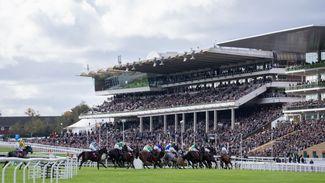 Cheltenham to urge thousands of racegoers at November meeting to sign the petition against affordability checks
