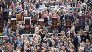 Racing leaders pledge to lobby MPs to attend crucial affordability debate in Commons next month