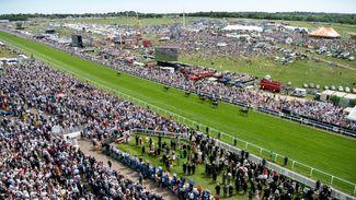 Affordability checks could have 'catastrophic' impact on British racing's international standing