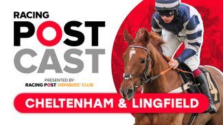 Racing Postcast: top tips for Cheltenham's November meeting and more with our expert team