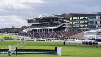 'Checks could kill the sport' - racegoers react as Cheltenham pushes affordability petition drive
