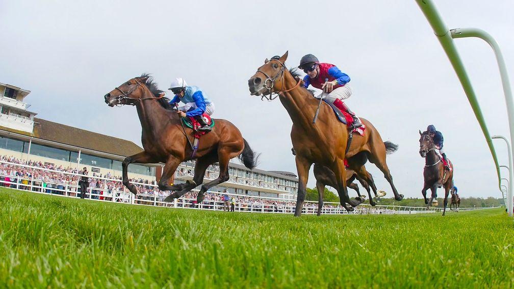 Lingfield's Derby Trial card takes place on Saturday