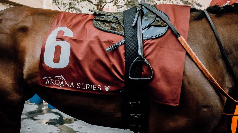The first season of the Arqana Series was staged in 2023