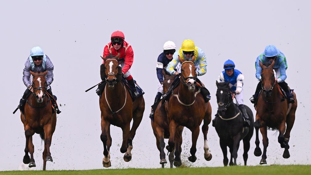 Uncle Dick (red): gave Mia Nicholls a timely winner at Brighton on Wednesday