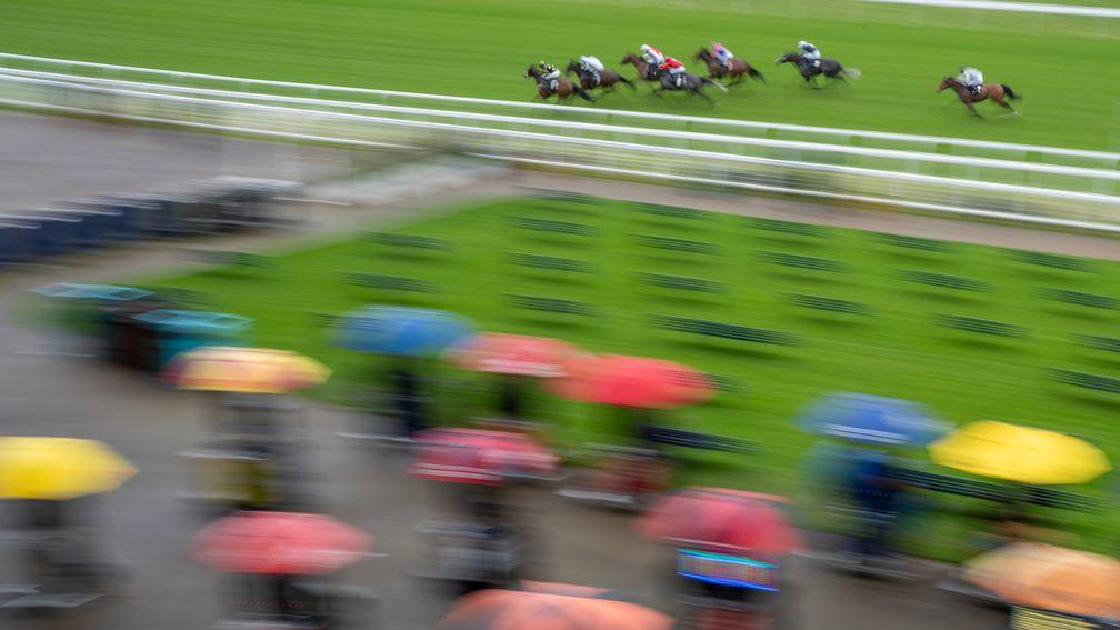 The impact of interim checks or enhanced checks on bettors and racing remains unclear