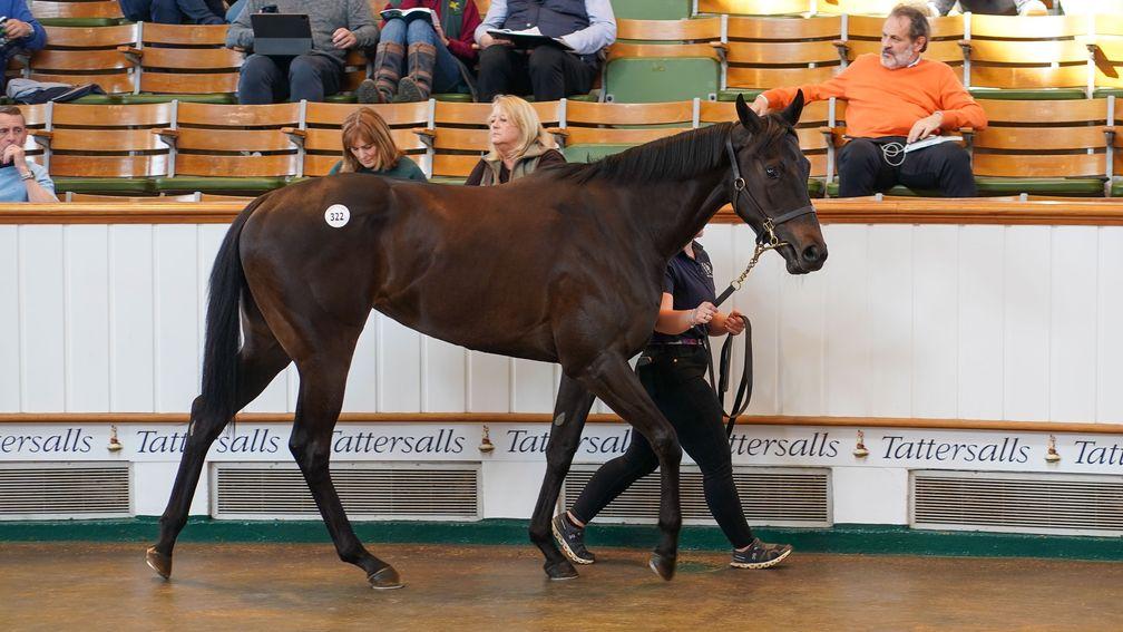 Donovan Bloodstock’s King Of Change filly out of M'Selle tops trade at the Tattersalls Guineas Breeze-Up Sale