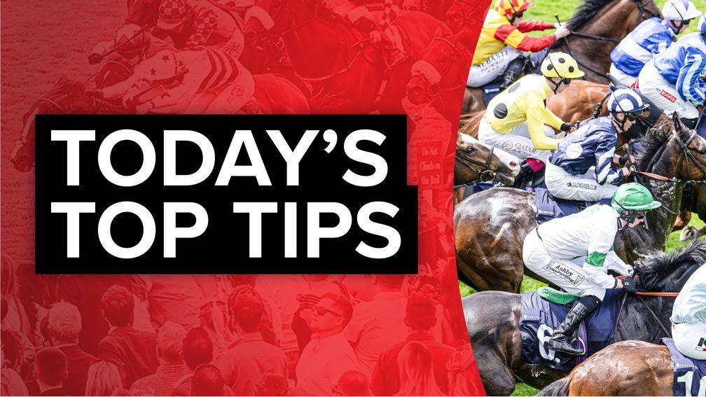 Friday's free racing tips: five horses to consider putting in your multiples
