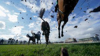 Tony Charlton permitted to have runners again while application for full training licence is considered by BHA