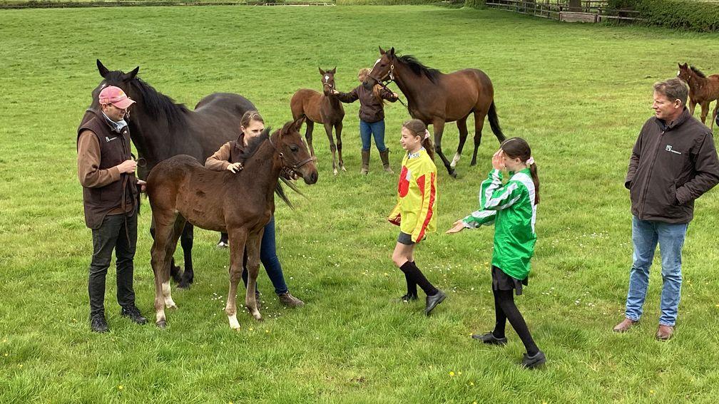 Meeting the mares and foals was another highlight for the students during the Racing to School visit to Tweenhills