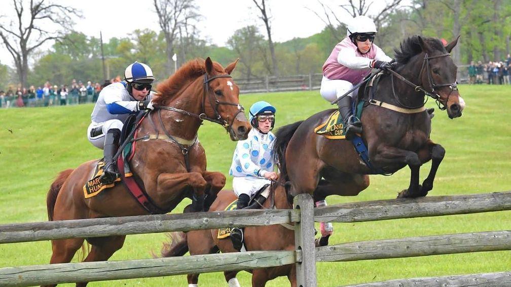 Marshall (left) on Blackhall at an early stage in Saturday's Maryland Hunt Cup (photo: Jim Graham)