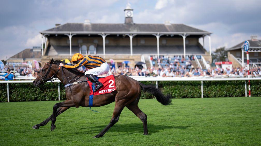 Dancing Gemini and Lewis Edmunds win the Flying Scotsman Stakes at Doncaster last season