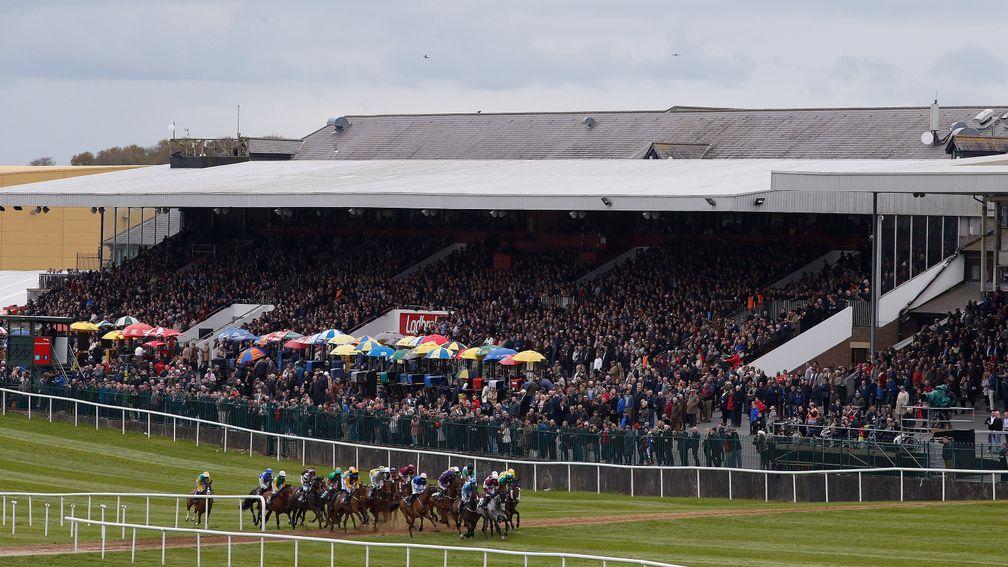Punchestown: faced overnight rain ahead of the opening day of the festival