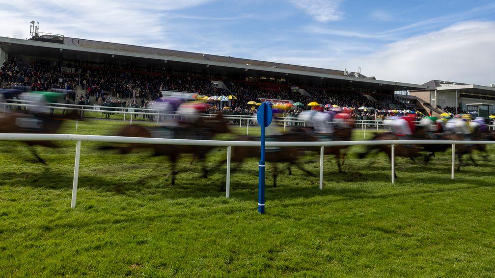 Punchestown: the second day of the course's festival gets underway on Wednesday