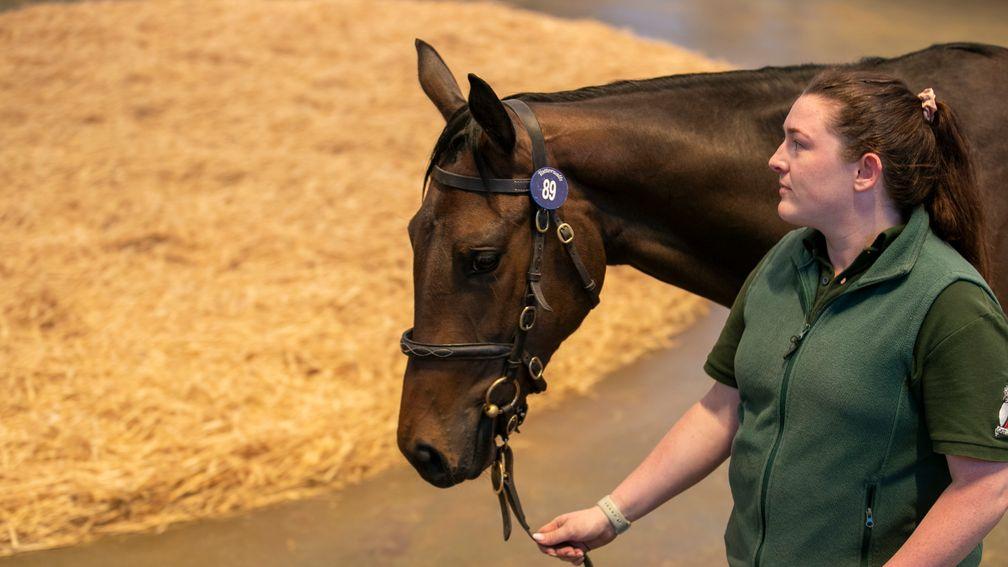 John Dance-affiliated lots bring 567,500gns as six-figure filly holds sway