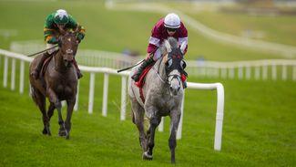 4.50 Punchestown: Coko Beach and Stumptown could provide a fascinating duel in La Touche Cup
