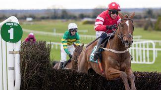 4.15 Punchestown: could Blood Destiny be another Grade 1 horse in a handicap for Willie Mullins?