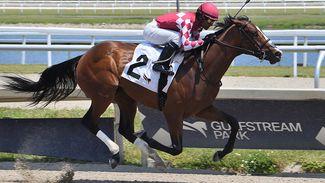 Two-year-old colt Mensa breaks Fasig-Tipton Digital record at $740,000