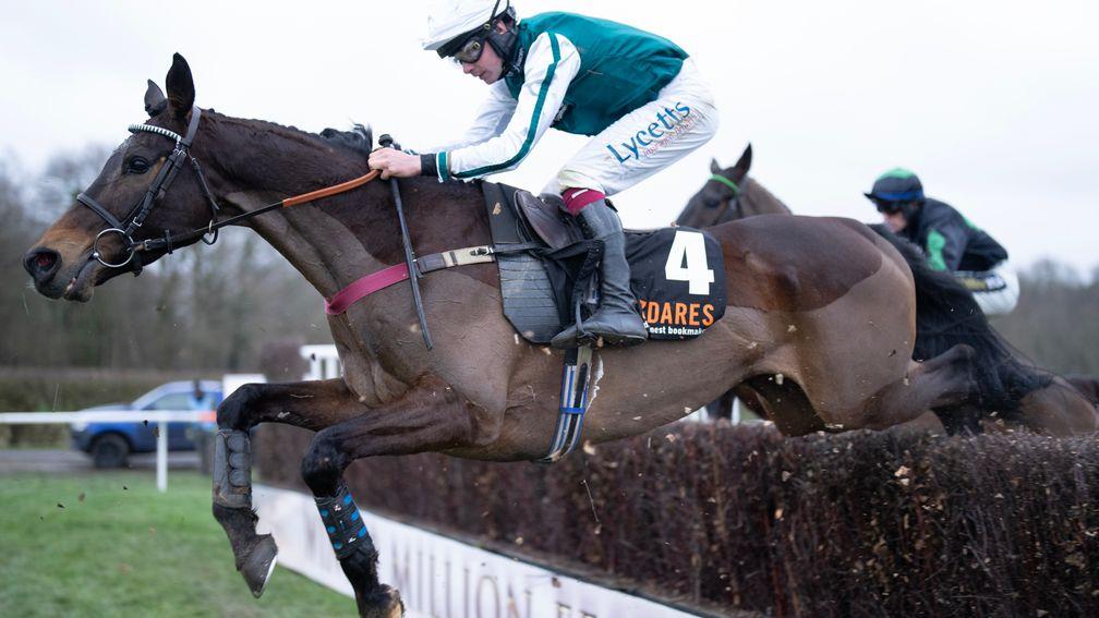 L'Homme Presse: was cut for Cheltenham Gold Cup in March