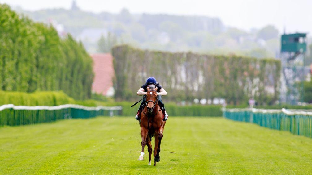 A horse breezes at Deauville racecourse on Thursday