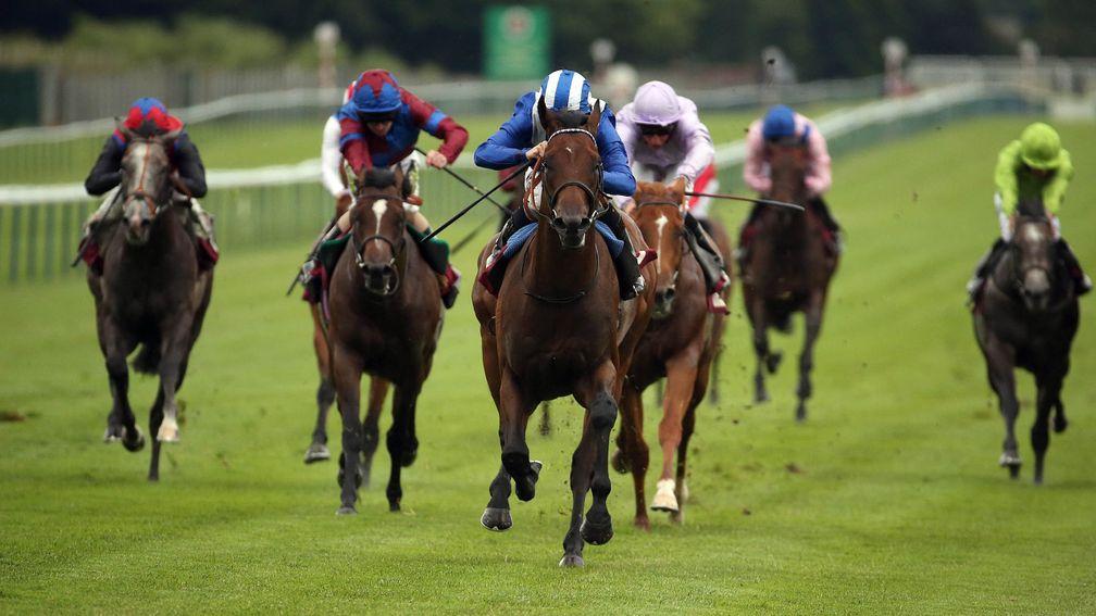 Faydhan: blitzes clear in a 6f Haydock maiden on his sole start at two