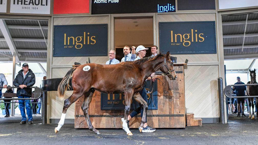 The Toronado colt out of Deep Field topped the second day of the Inglis Australian Weanling Sale at $320,000