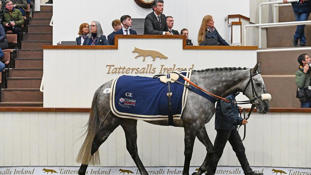 Fil Dor selling for €620,000 to Mags O'Toole at Tattersalls Ireland