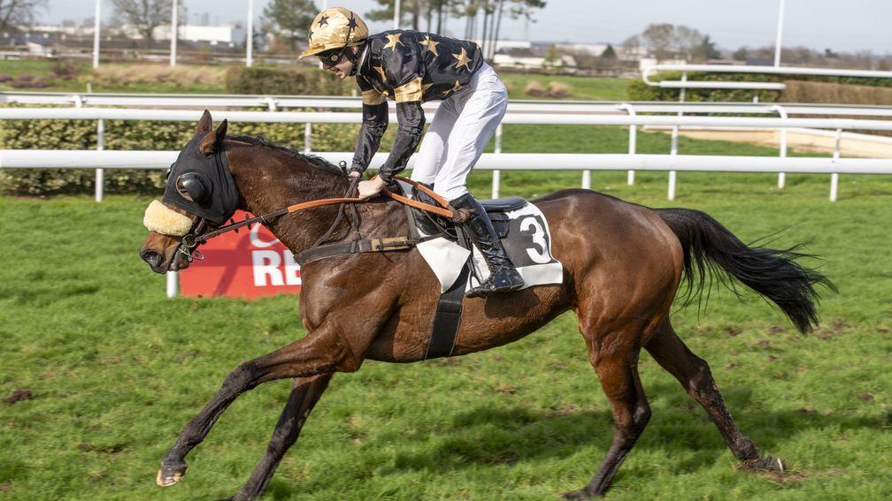 Be Sure: last-time-out Angers winner will sell at Auctav's February Sale