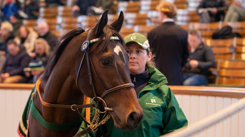 Retort: winning son of Frankel heads the way of Alastair Donald for 125,000gns