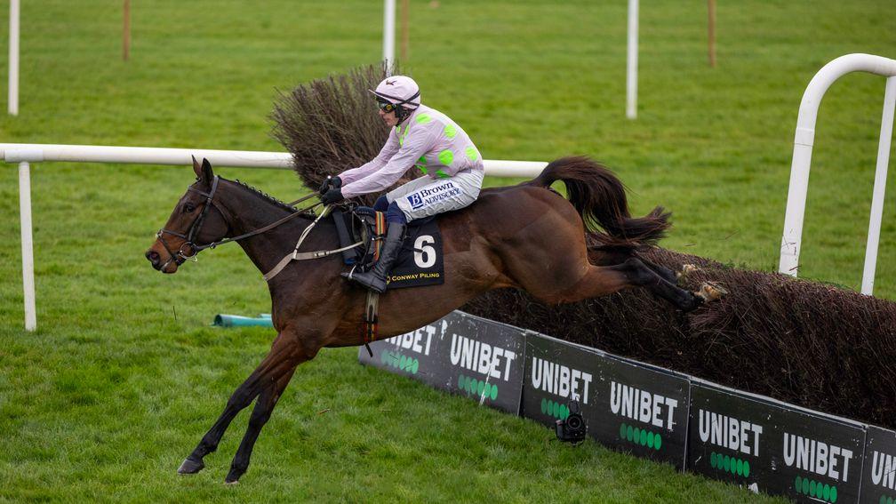 Gaelic Warrior: dominant win on his chasing debut