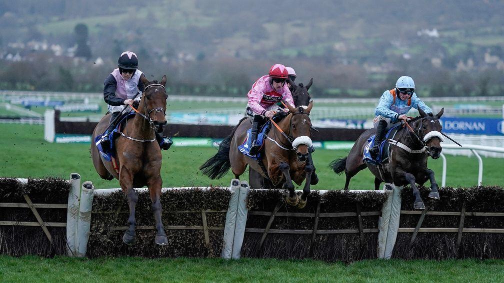The four-runner Relkeel Hurdle at Cheltenham on Britain's first Premier Raceday of the year highlighted the big problem jump racing currently has with field sizes