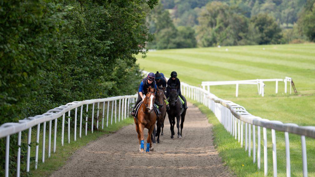 Live In The Dream leads the string up the Epsom gallops under Shoshana Cooksley-Towner