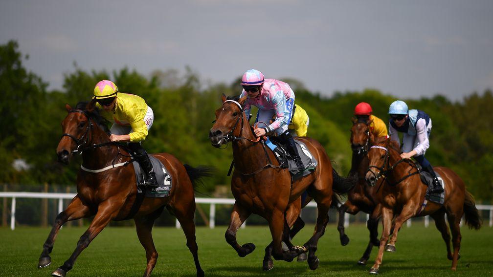 Miss Rascal: off the mark at Ascot on Friday