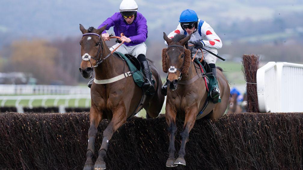 Fugitif jumps the last alongside Il Ridoto at Cheltenham in January, but had to settle for second
