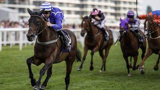 Red-hot Ebor favourite Stratum could miss out after being left outside top 20