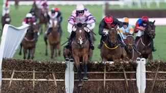 Irish pointers to the fore once again at triumphant Cheltenham Festival