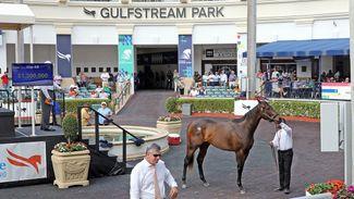 $1.2 million Bolt d'Oro filly tops the Fasig-Tipton Gulfstream Sale
