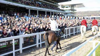What the betting can tell us about whether Constitution Hill will go chasing next season