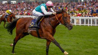 Expert Eye seeks more riches on first foray north in City of York Stakes