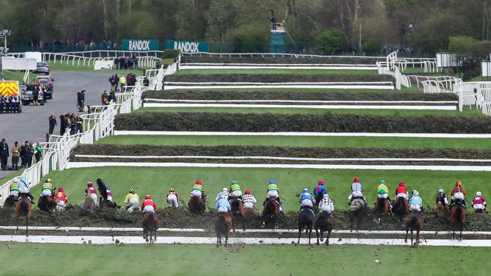 A smaller field and the willingness of jockeys to spread out were factors that led to two-thirds of runners completing the course in Saturday's Grand National.