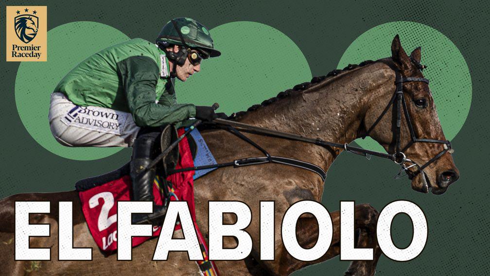 El Fabiolo: a key final day runner for Willie Mullins