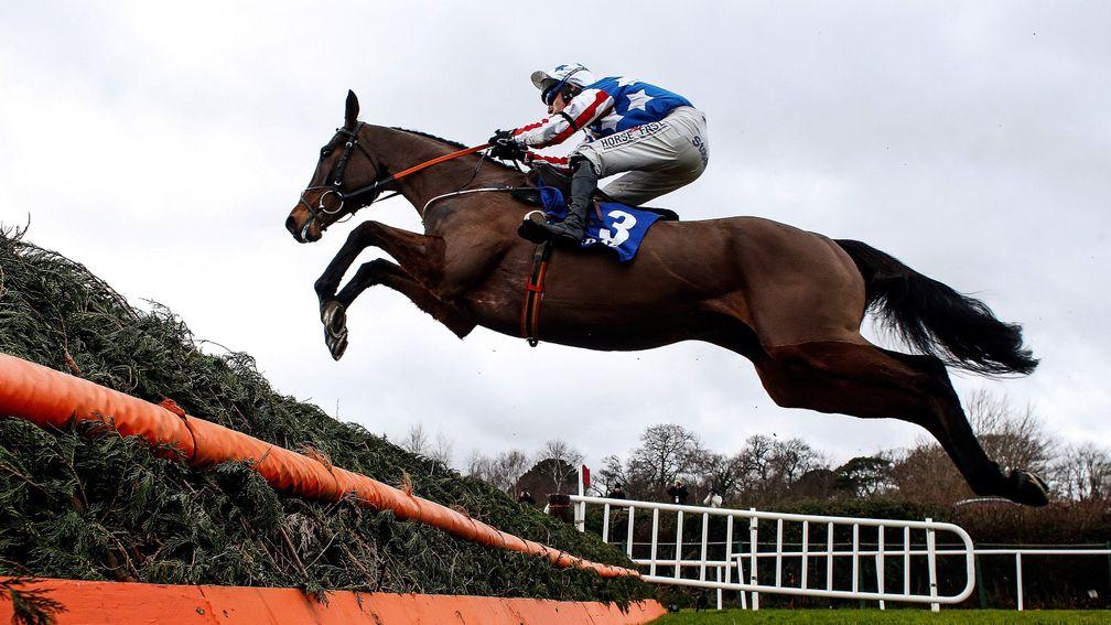 Special Tiara flies over a fence in last year's Dublin Chase