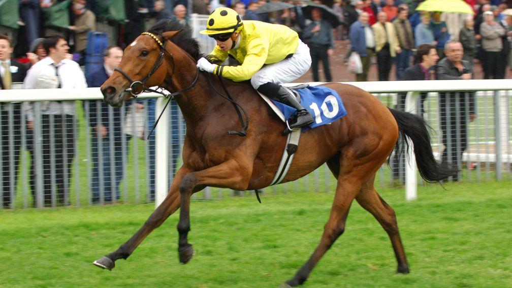 Reem Three on her way to victory at York 